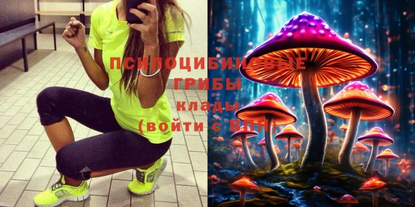ГАЛЛЮЦИНОГЕННЫЕ ГРИБЫ Балахна