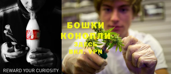 ГАЛЛЮЦИНОГЕННЫЕ ГРИБЫ Балахна