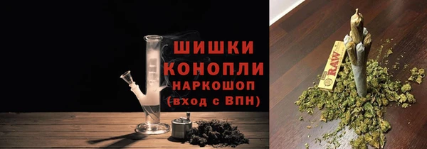 ГАЛЛЮЦИНОГЕННЫЕ ГРИБЫ Балабаново
