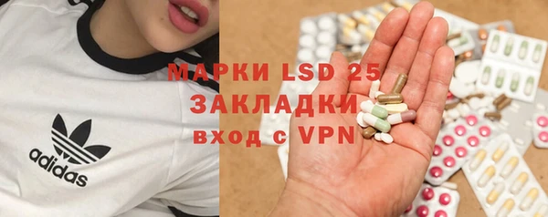 ГАЛЛЮЦИНОГЕННЫЕ ГРИБЫ Балахна