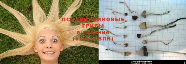 ГАЛЛЮЦИНОГЕННЫЕ ГРИБЫ Балахна