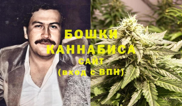 шишки Баксан