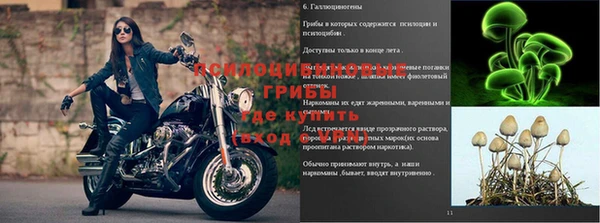 ГАЛЛЮЦИНОГЕННЫЕ ГРИБЫ Балахна
