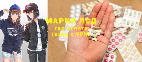 шишки Баксан